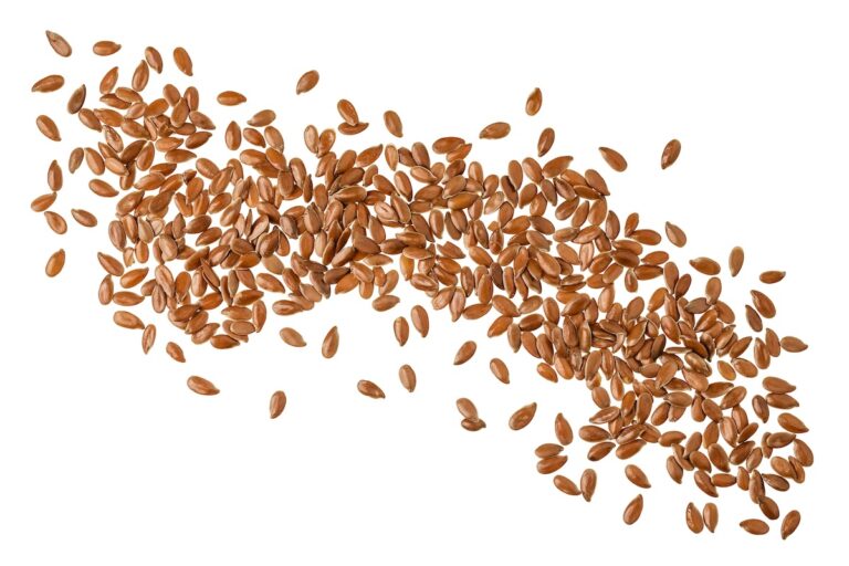 Graine de lin : un super aliment aux multiples vertus